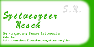 szilveszter mesch business card